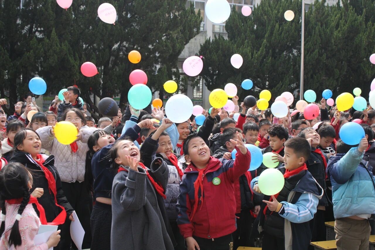 龙湾镇开展校园普法宣传活动