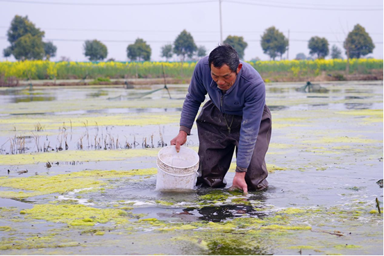 春日忙管护 小龙虾长势好