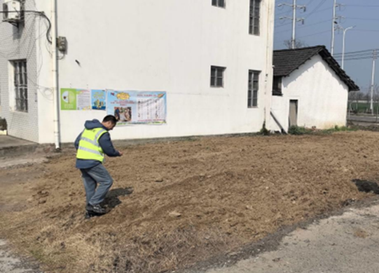 泽口街道抢抓春季黄金期 掀起绿化美化热潮