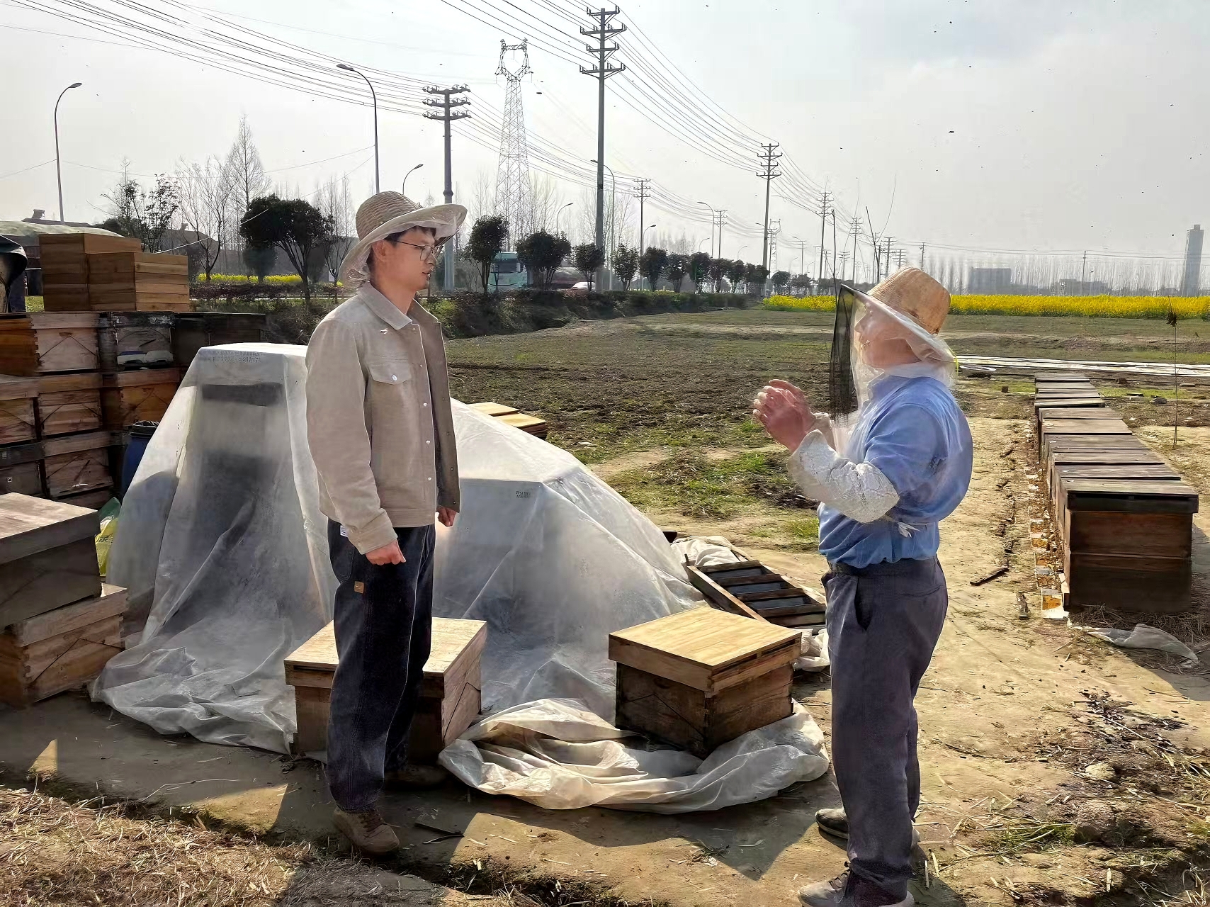巧解“甜蜜烦恼” 护航和美“蜂”景——王场镇柔性化解蜜蜂扰民纠纷