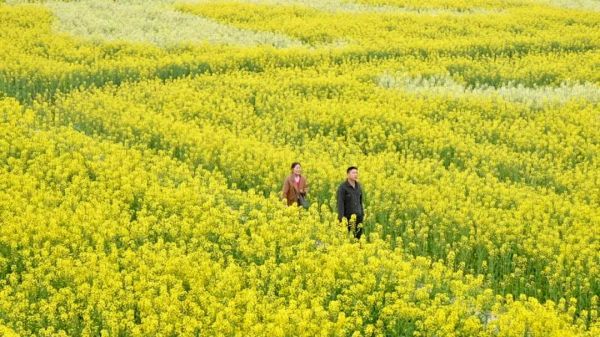 来到这里，他/她们都说“好”！