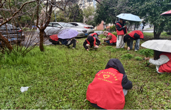 艺术学院开展 “学雷锋·树新风·担使命” 系列志愿活动