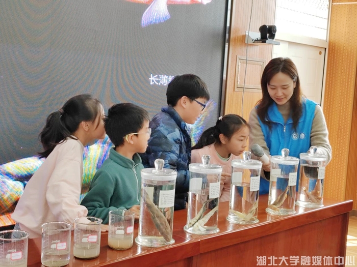 长江大保护课堂走进湖大附小