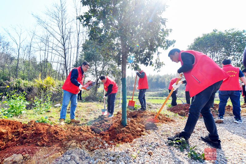 省市志愿者栽树巡林共护河湖安澜