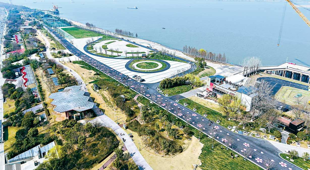 出片！汉马赛道终点“开出”朵朵樱花