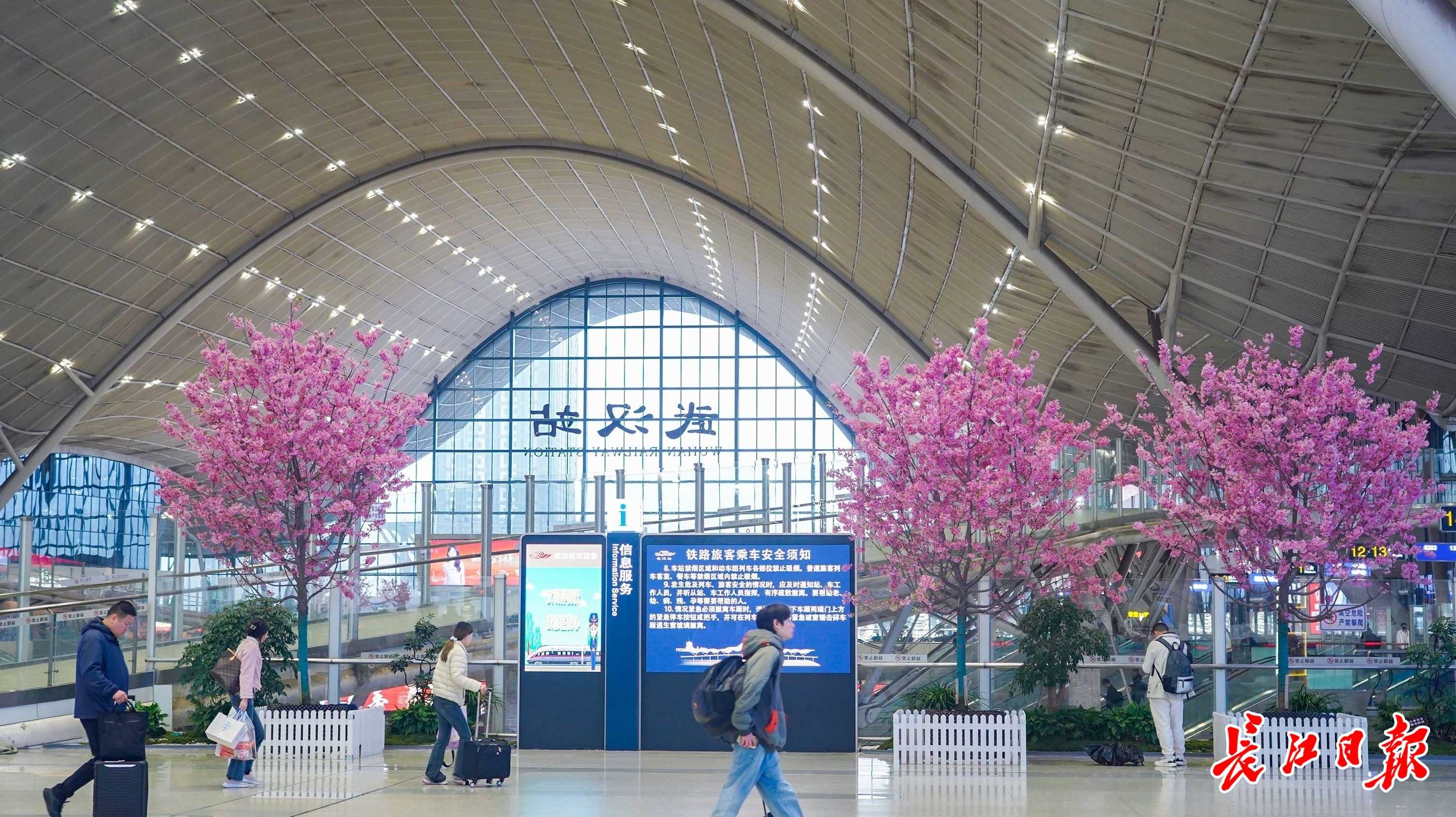 南来北往的旅客“收惊喜”：武汉站里赏樱花