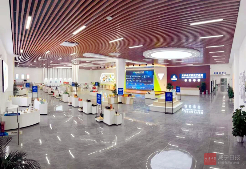 嘉鱼蔬菜实现跨境直达交易 15吨甘蓝半日端上香港市民餐桌