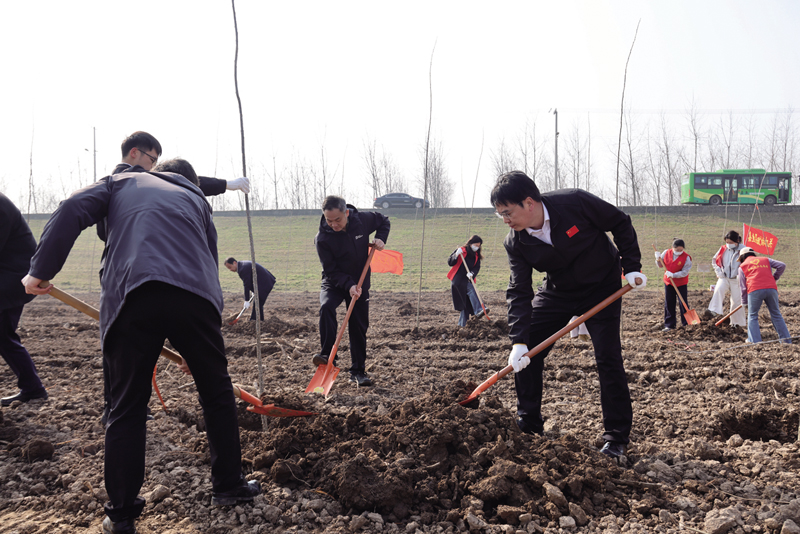 嘉鱼县直机关干部走出办公室直奔长江干堤 栽树5000余株，为长江岸线添新绿