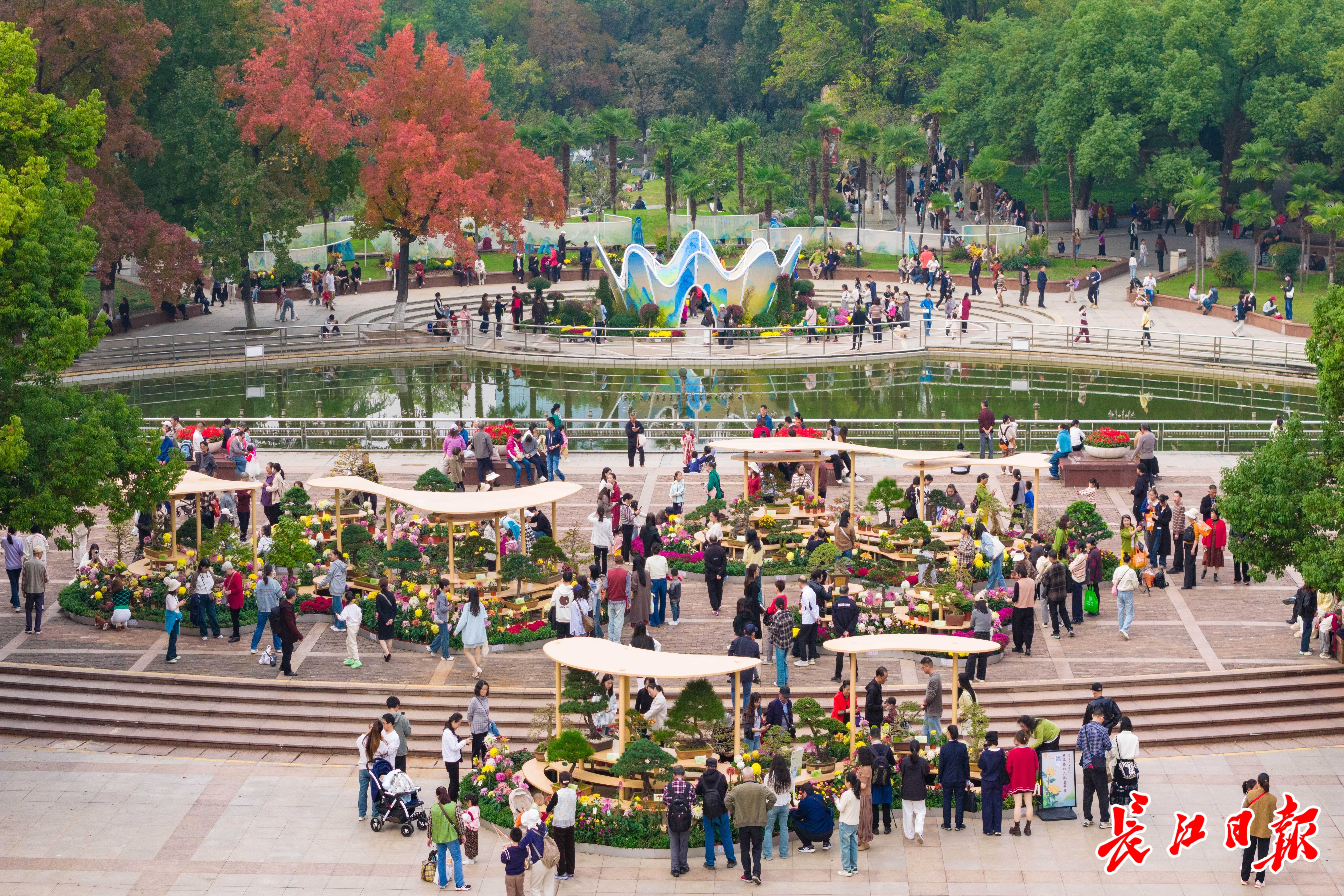 每年至少3场花展！武汉这座百年公园越来越年轻