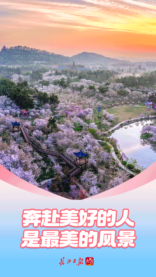 春天里，看见一个活力富足的中国