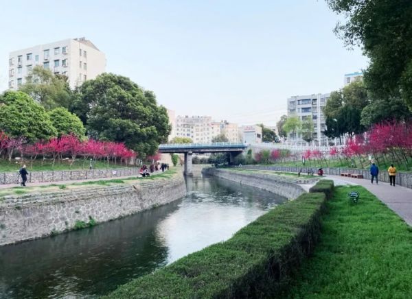 竹皮河：一条护城河，半部荆门史