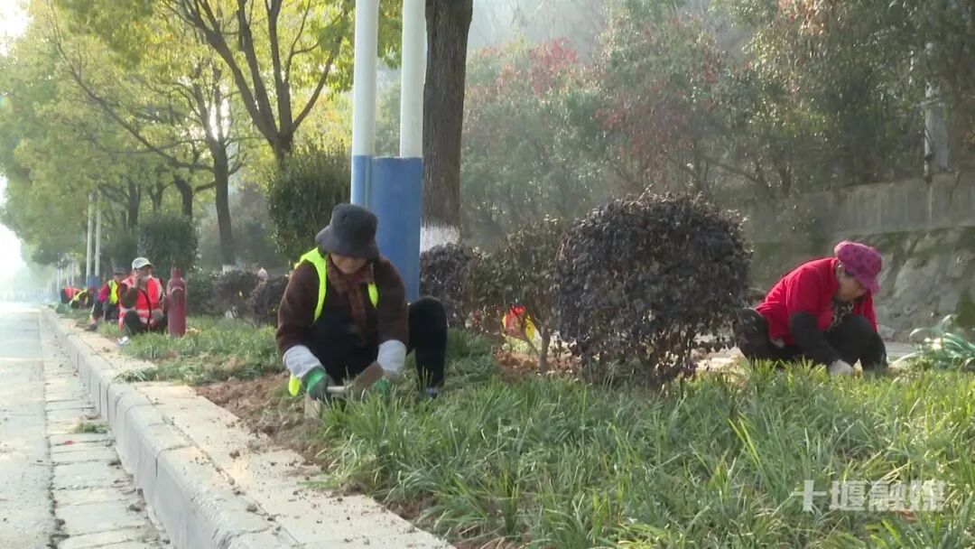 16.5公里生态廊道焕新!十堰这条大道颜值提档升级