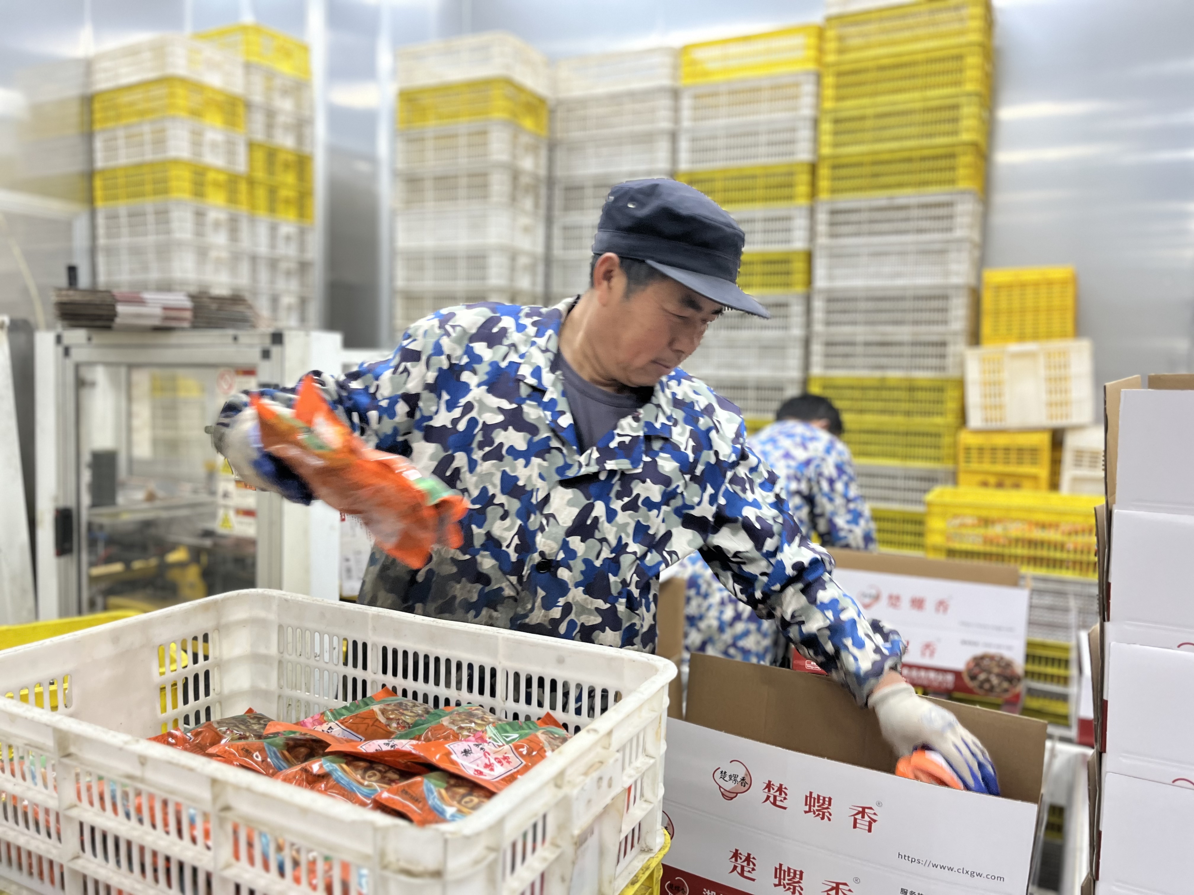 渔洋镇：争春！奋进！