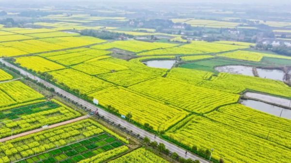 来到这里，他/她们都说“好”！