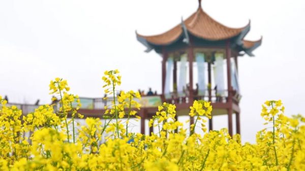 来到这里，他/她们都说“好”！