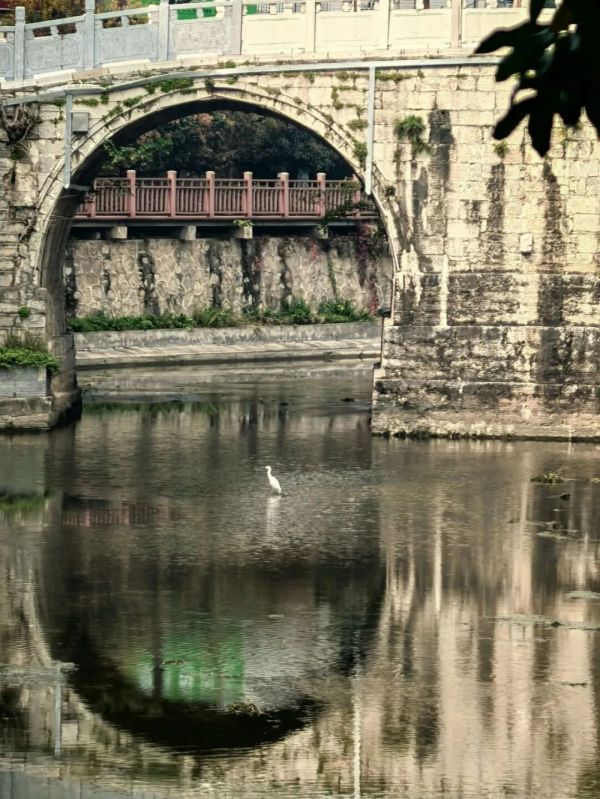 竹皮河：一条护城河，半部荆门史