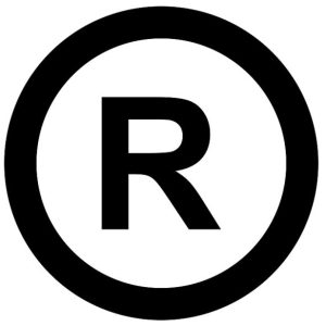 荆楚之窗的头像